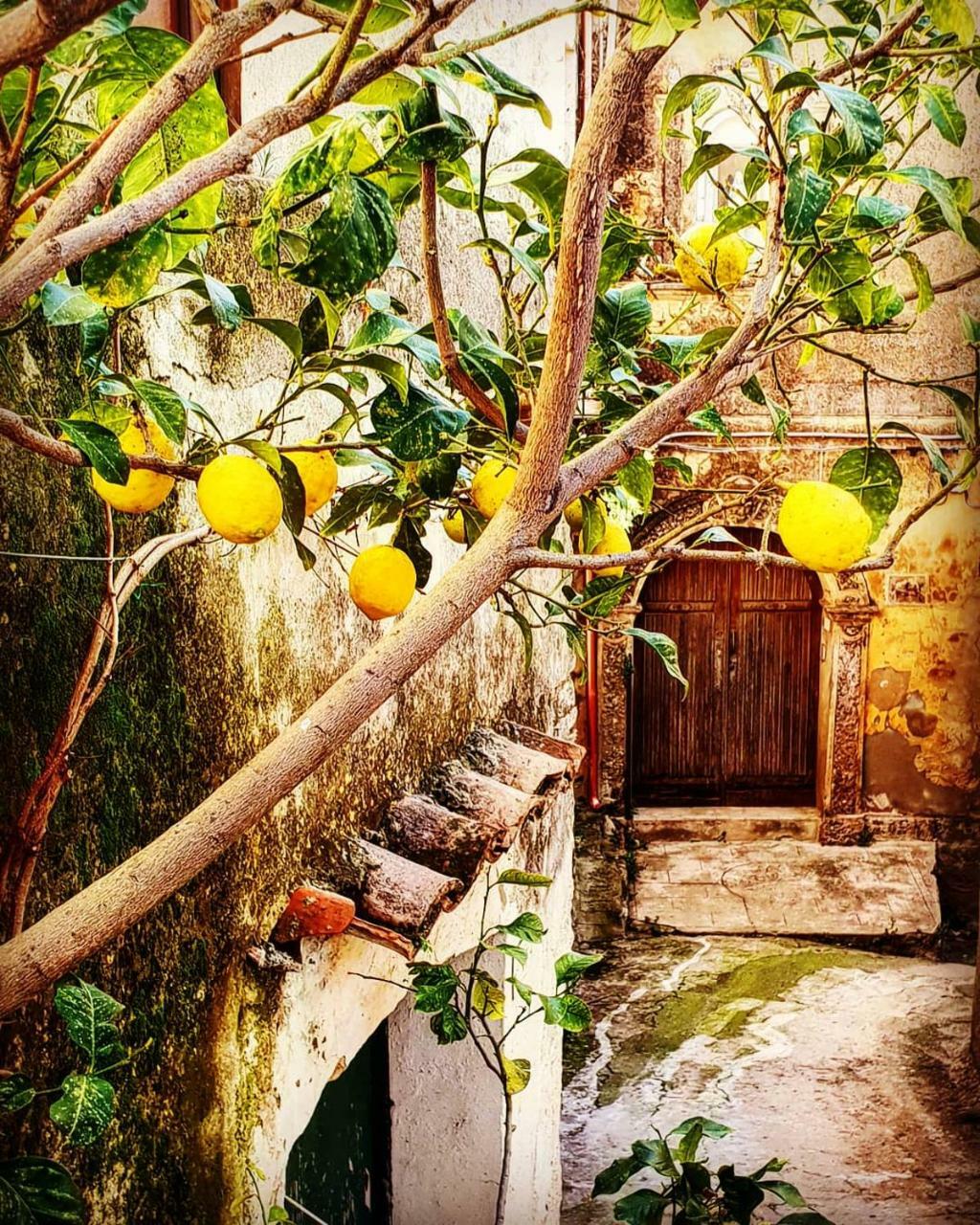 Bed and Breakfast Casa Mazzone Ciro Esterno foto
