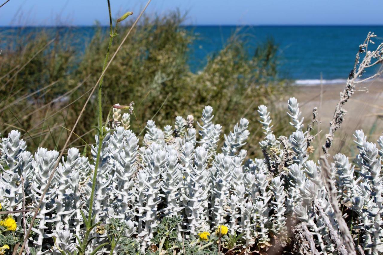 Bed and Breakfast Casa Mazzone Ciro Esterno foto