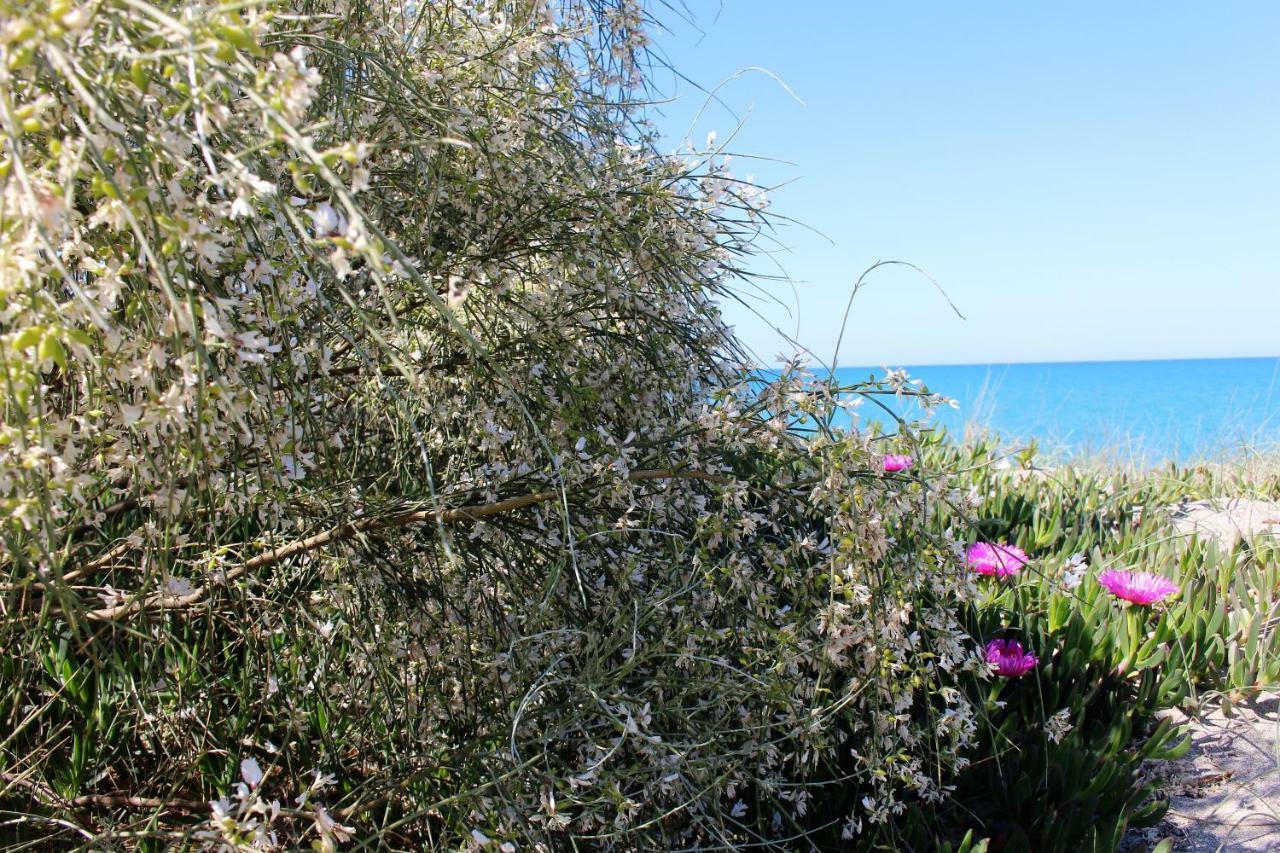 Bed and Breakfast Casa Mazzone Ciro Esterno foto